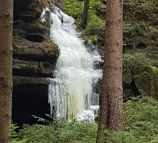 Wandern Kirnitzschtal