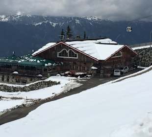 Schafalm unterhalb vom Hotel Planaihof 