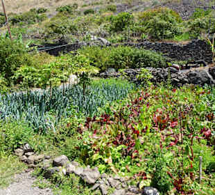 Impressionen von der Fajã dos Padres