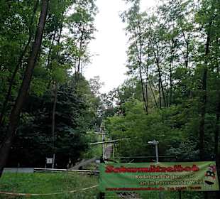 Sommerrodelbahn Scharmützelbob Bad Saarow