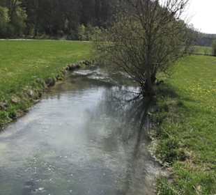 Schneckengarten Weiler