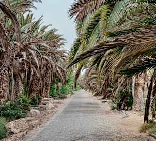 Strandwandern Costa Calma