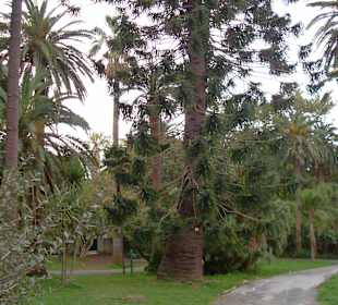 Im Park