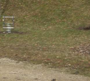 Spielplatz am Steinbruch Gauingen