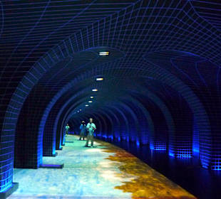 Saal 20 - La città delle acque