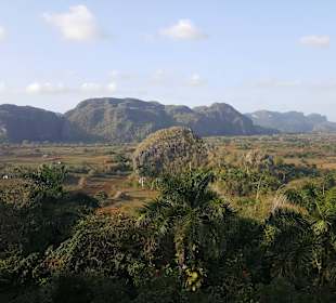 Vinales Tal