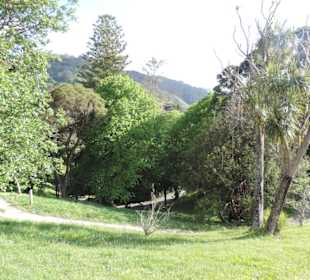 Im Botanischem Garten