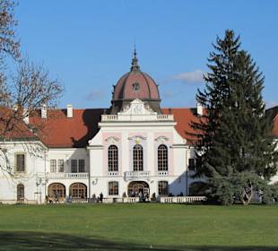 Ausflugsziel Schloß Gödöllö