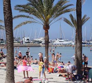 HSM Europa - Playa de Palma