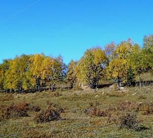 Gorkhi Terelj Nationalpark