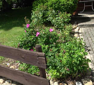 Vital und Wellnesshotel Albblick