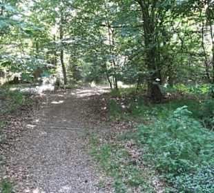 Kreuzweg zum Tannenrain