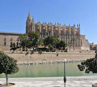 Palma