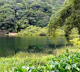 Impressionen vom Grand Etang