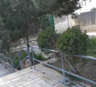 Ghar Dalam Cave & Museum