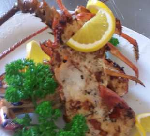 Fresh lobster 