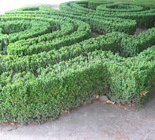 Park przy Pałacu w Nieborowie