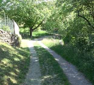 Früchtetrauf - Wurmlinger Kapellenwegle