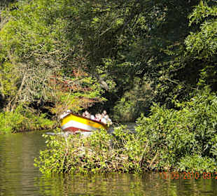 Bootfahrt am Ropotamo-Fluß