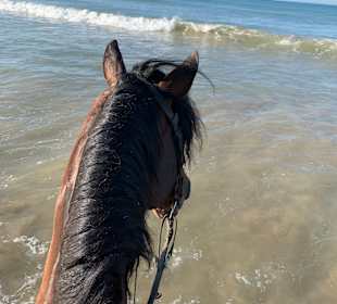 Reitstall Finca el Anfora Conil