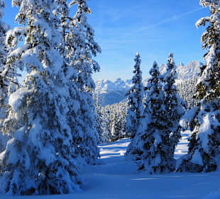 Skigebiet 4 Berge-Skischaukel