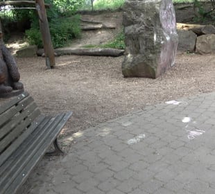 Zoo Heidelberg