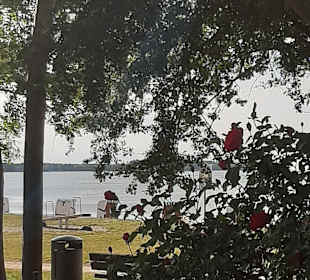 Stadtrundgang Wismar