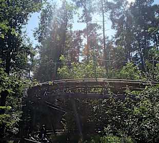 Sommerrodelbahn Scharmützelbob Bad Saarow