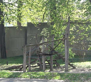 Unterer Schlossgarten Stuttgart