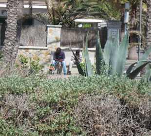 Strandpromenade mit viel Bepflanzung
