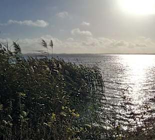 Jezioro Resko Przymorskie