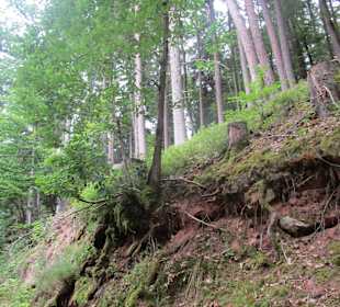  Wanderweg Helmbachweiher - Hornesselwiese
