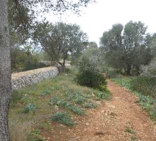 Naturpark Mondragon Fussweg