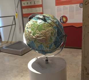 Staatliches Naturkunde Museum