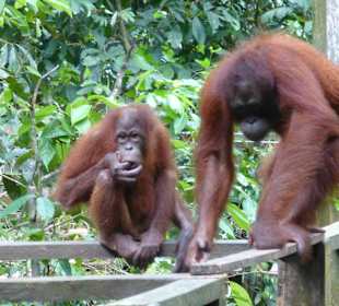 Zum anfassen .... fast