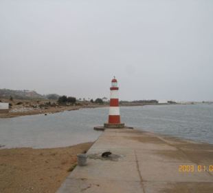 Al dzadida