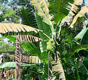 Parque Natural Obô do Príncipe