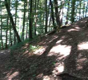 Burg Hohenerpfingen Erpfingen