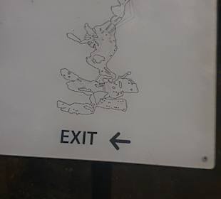 Höhlen von Arta/Cuevas de Artá