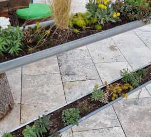 Dachrinne mit Blumen versehen