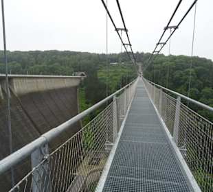 Auf der Hängeseilbrücke Titan-RT
