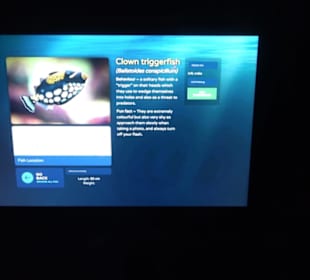 National Aquarium Malta