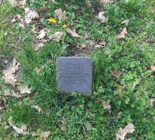 Park an der Mauritiuskirche