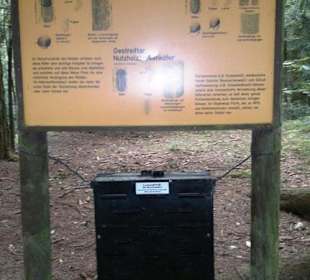 Tafeln im Wald Beschreibung