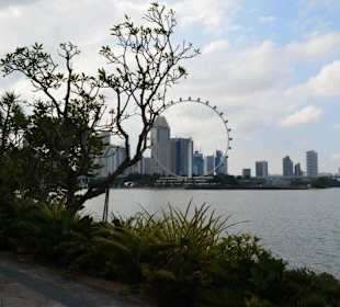 Singapore Flyer