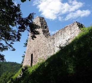 Litice nad Orlicí hrad