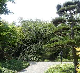 Parkanlage Planten un Blomen