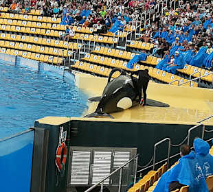 Auch in der Nähe, der Loro Park.