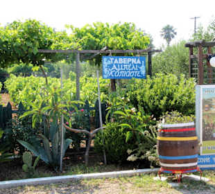 Taverna Ampeli (Restauracja)