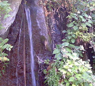 Frisches Quellwasser